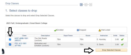 click the Drop Selected Classes button Instructions on how to click the Drop Selected Classes button in the image.
