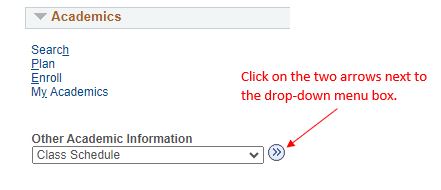 Click on the box under “Other Academic Information”. Select Class Schedule. Instructions on how to select Class Schedule in image.