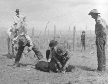 Branding on the Spanish Ranch about 1925.